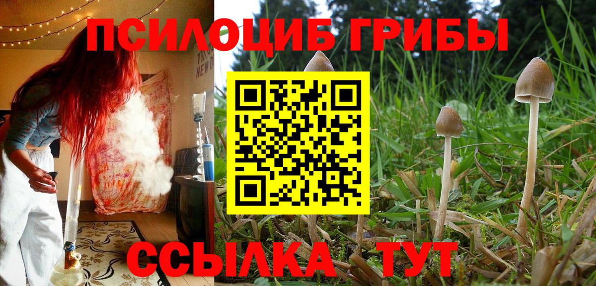 Псилоцибиновые грибы мухоморы Орехово-Зуево